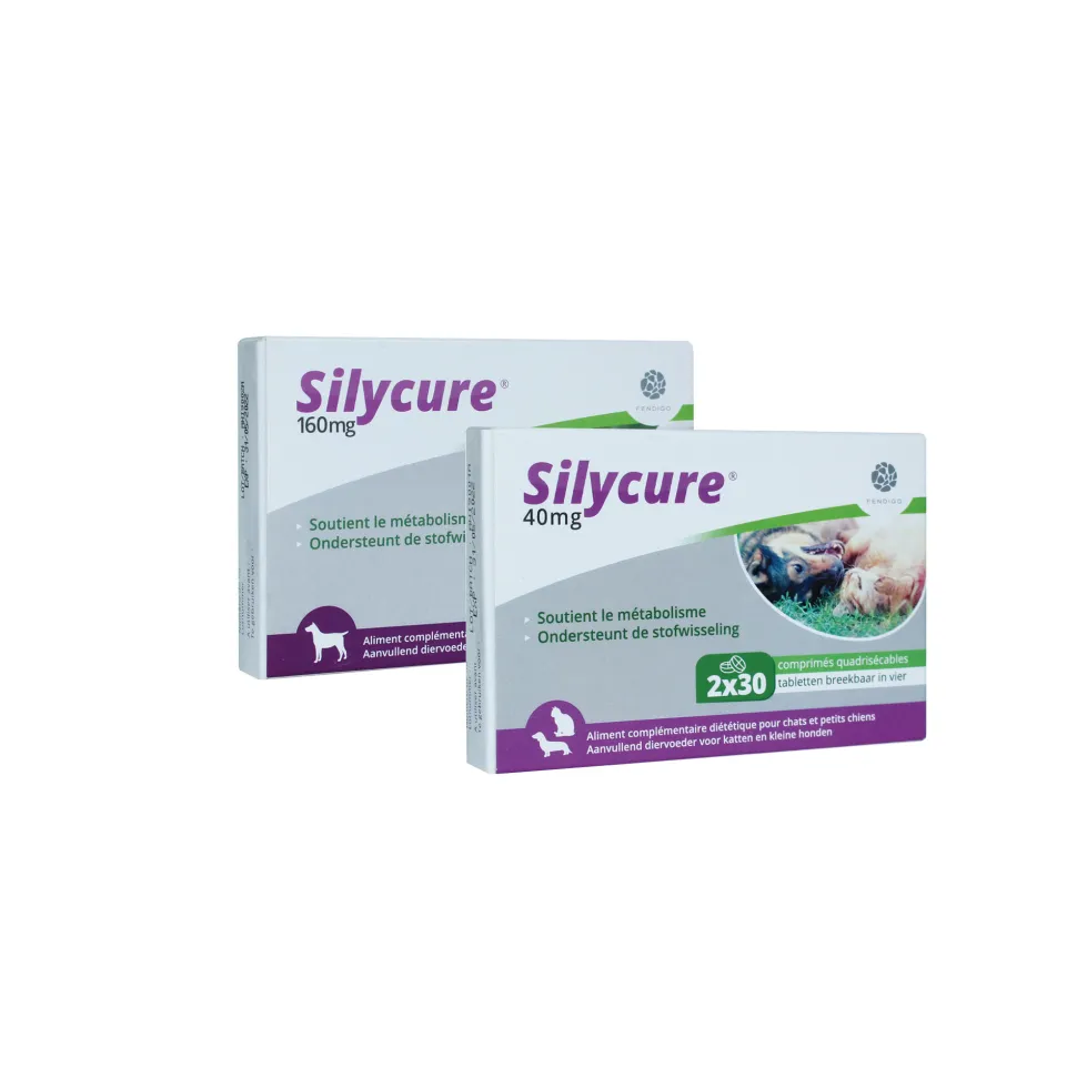 Silycure