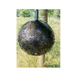 Sticky Trap Bal