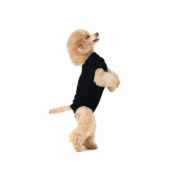 Suitical Recovery Suit Hond - Zwart