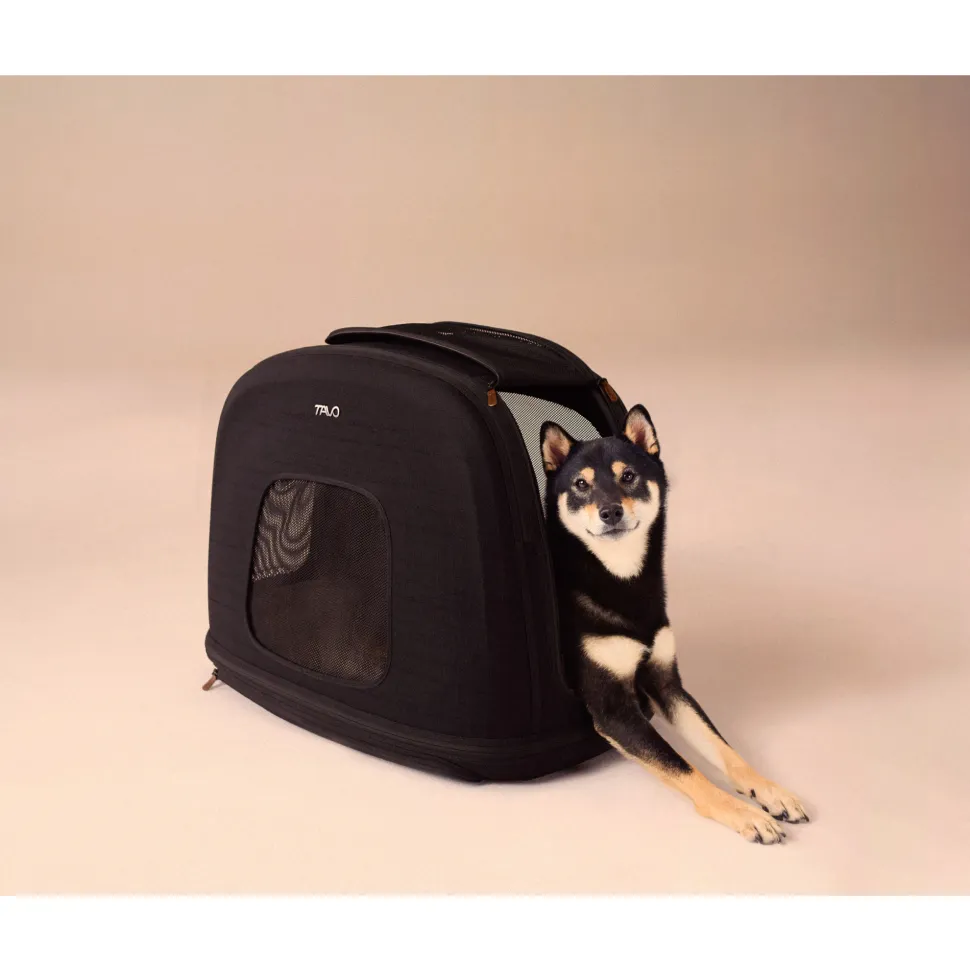 Tavo Pets Crispin