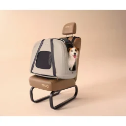 Tavo Pets Crispin