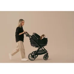 Tavo Pets Roscoe Trek