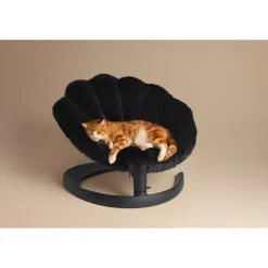 Tavo Pets Shell