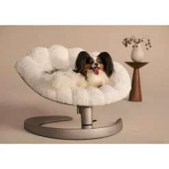 Tavo Pets Shell