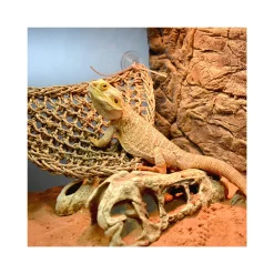 Terra Della Reptiel Relaxer Triangel