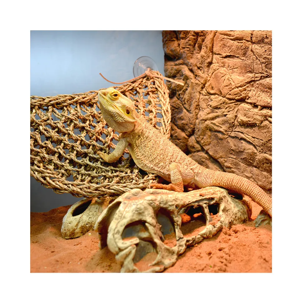 Terra Della Reptiel Relaxer Triangel + Ladder