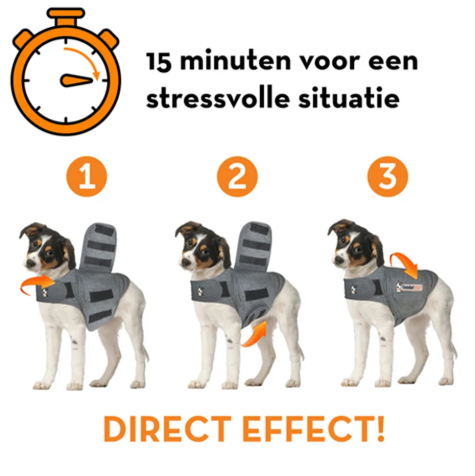 Thundershirt Hond