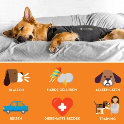 Thundershirt Hond