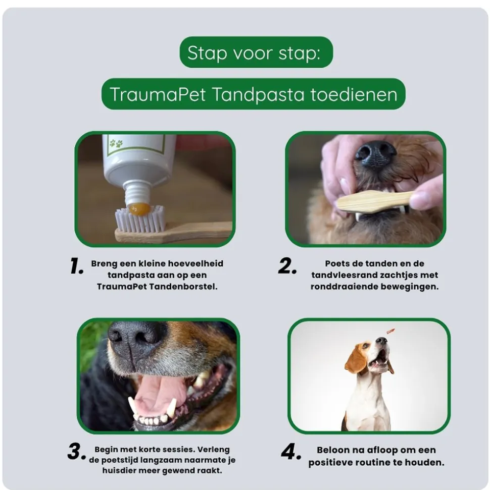 TraumaPet Tandpasta
