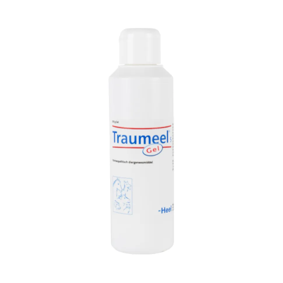 Traumeel - Gel