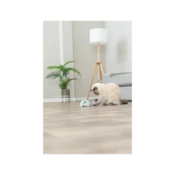 Trixie Catch Me