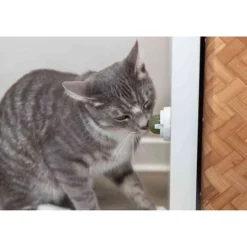 Trixie Catnip-bal met Houder