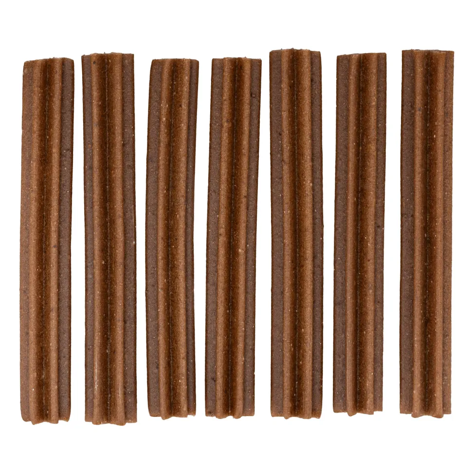 Trixie Denta Fun Dentros