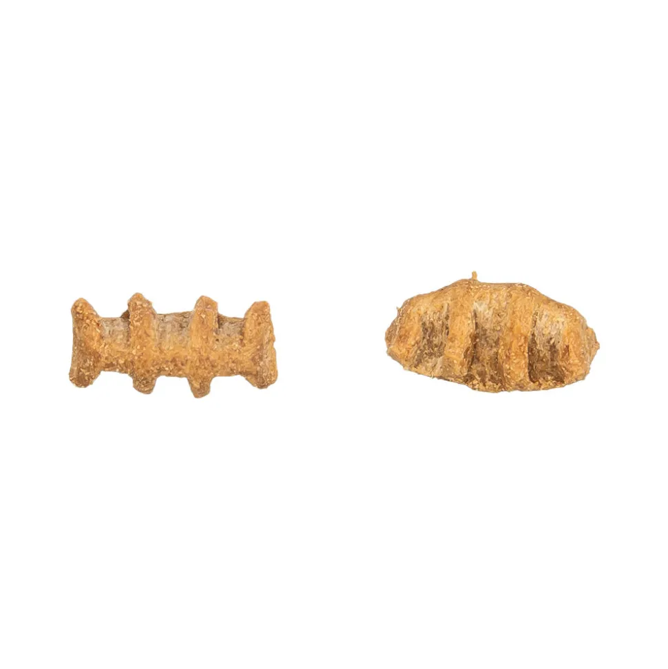 Trixie Fish Bones - Kippenborst & Zalm