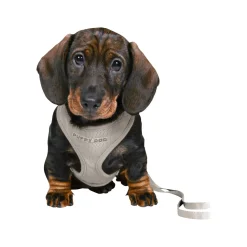Trixie Junior Puppy-Softtuig met Riem
