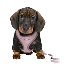 Trixie Junior Puppy-Softtuig met Riem