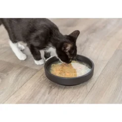 Trixie Kittis Soup