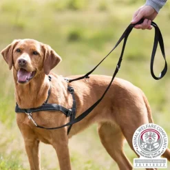 Trixie Lead'n Walk Soft Hondentuig