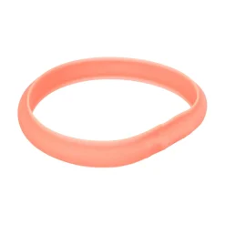 Trixie Lichtgevende Band met USB