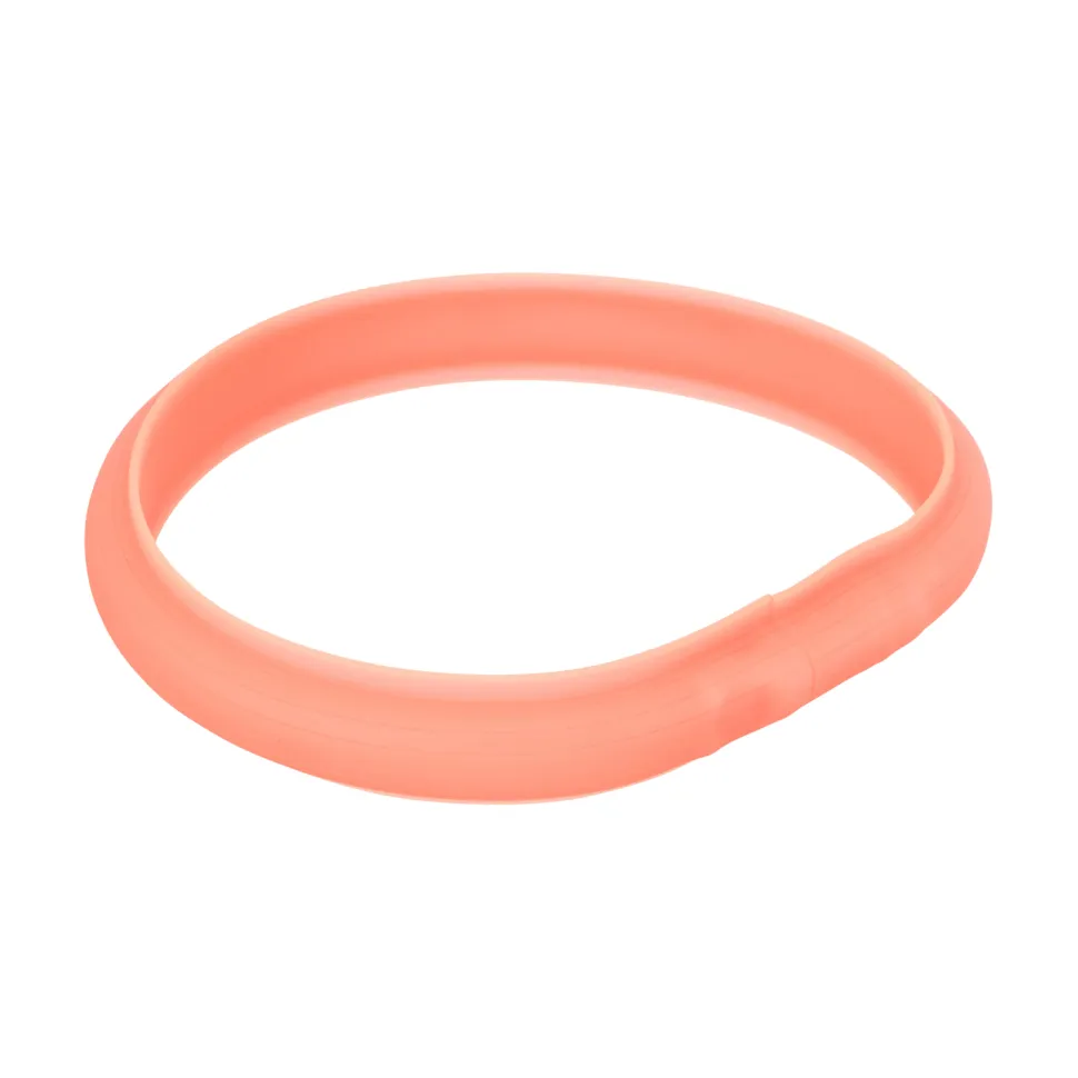 Trixie Lichtgevende Band met USB