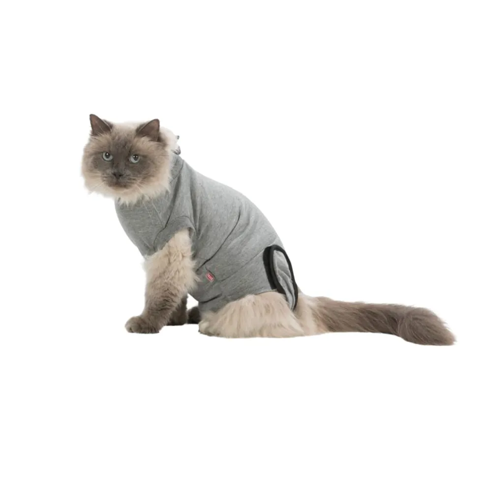Trixie Operatie-Hesje Kat