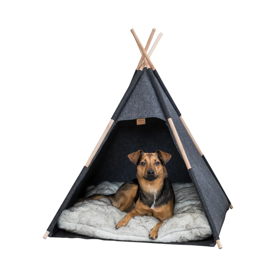 Trixie Tipi