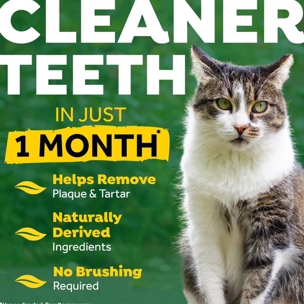 TropiClean - Fresh Breath Clean Teeth OralCareGel - Cat