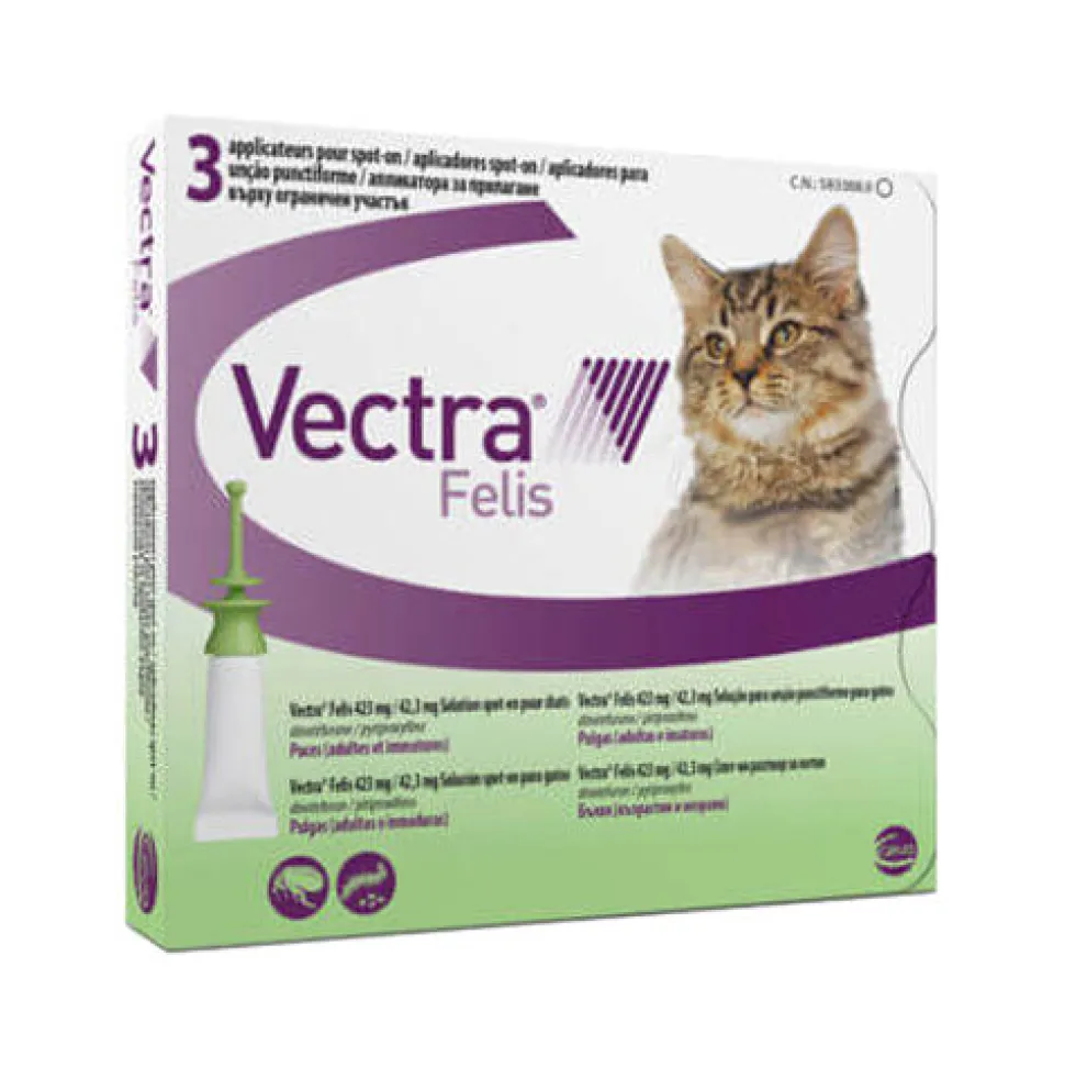 Vectra Felis