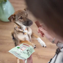 Vegdog Dentals