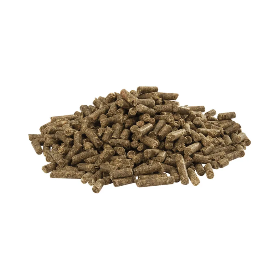 Versele-Laga Country's Best Cuni Fit Plus