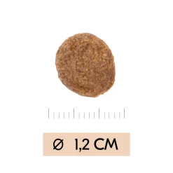 Vetality Gastrointestinal - Hondenvoer