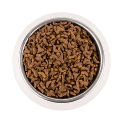 Vetality Gastrointestinal - Kattenvoer