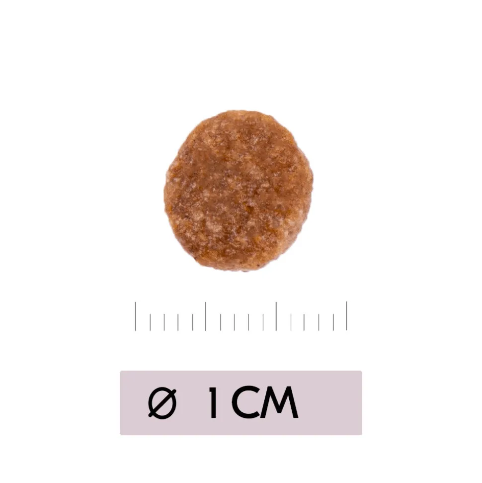 Vetality Renal - Kattenvoer