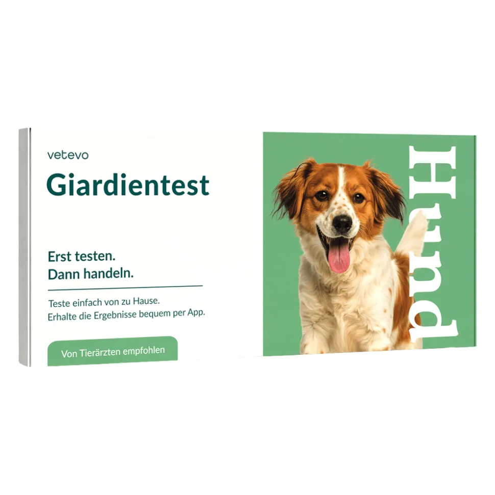 Vetevo Giardiatest Hond