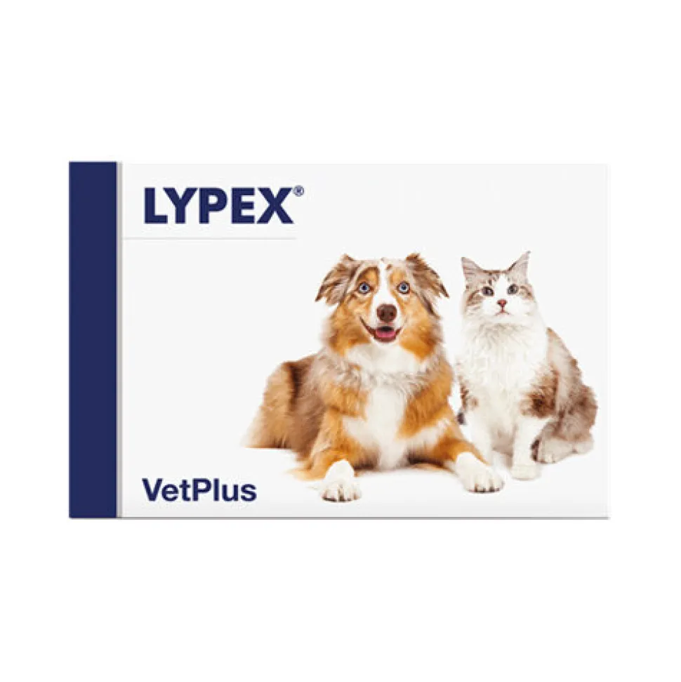 Vetplus Lypex