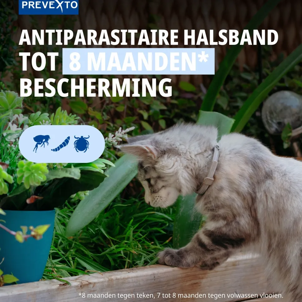 Virbac PreveXto Halsband Kat