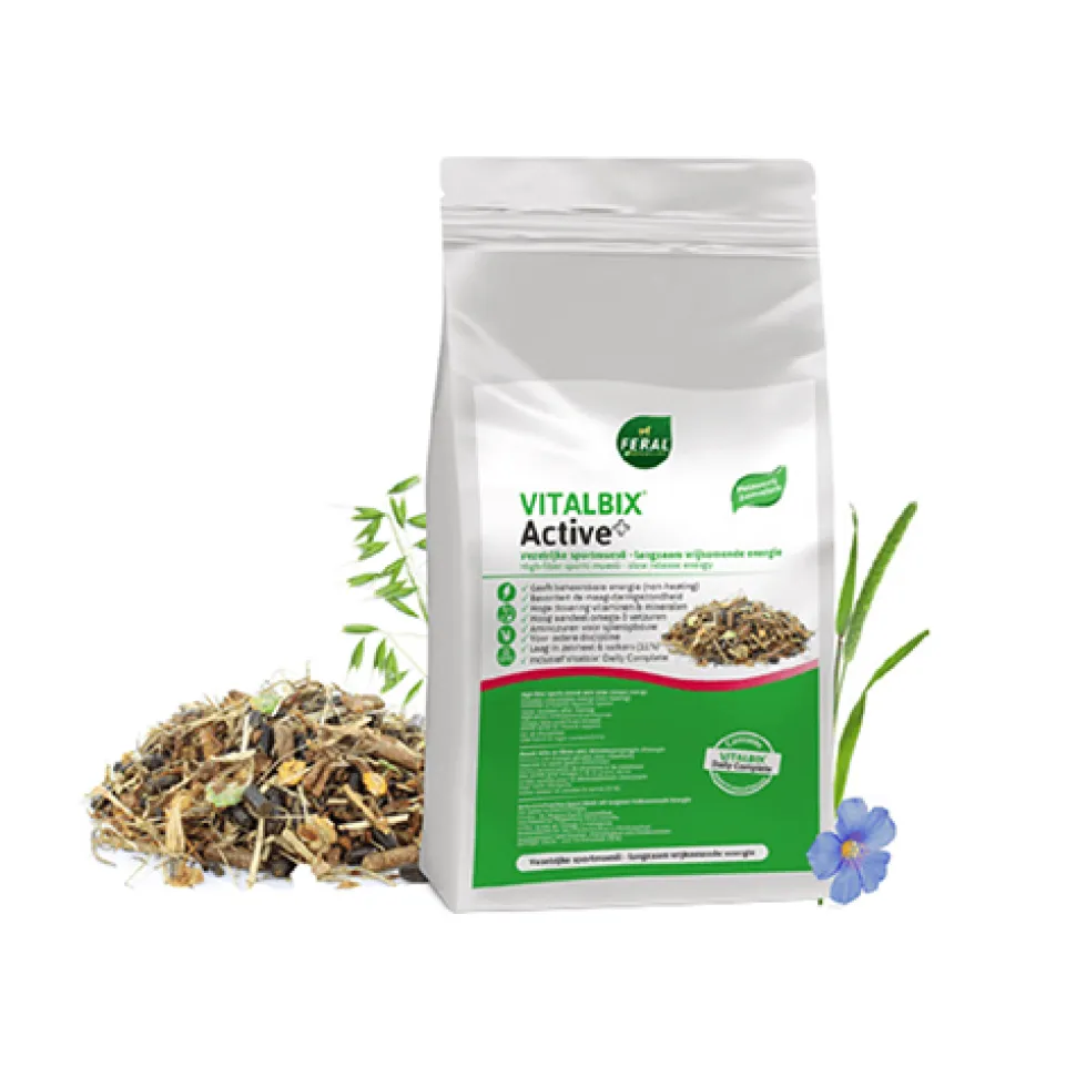 Vitalbix Active+