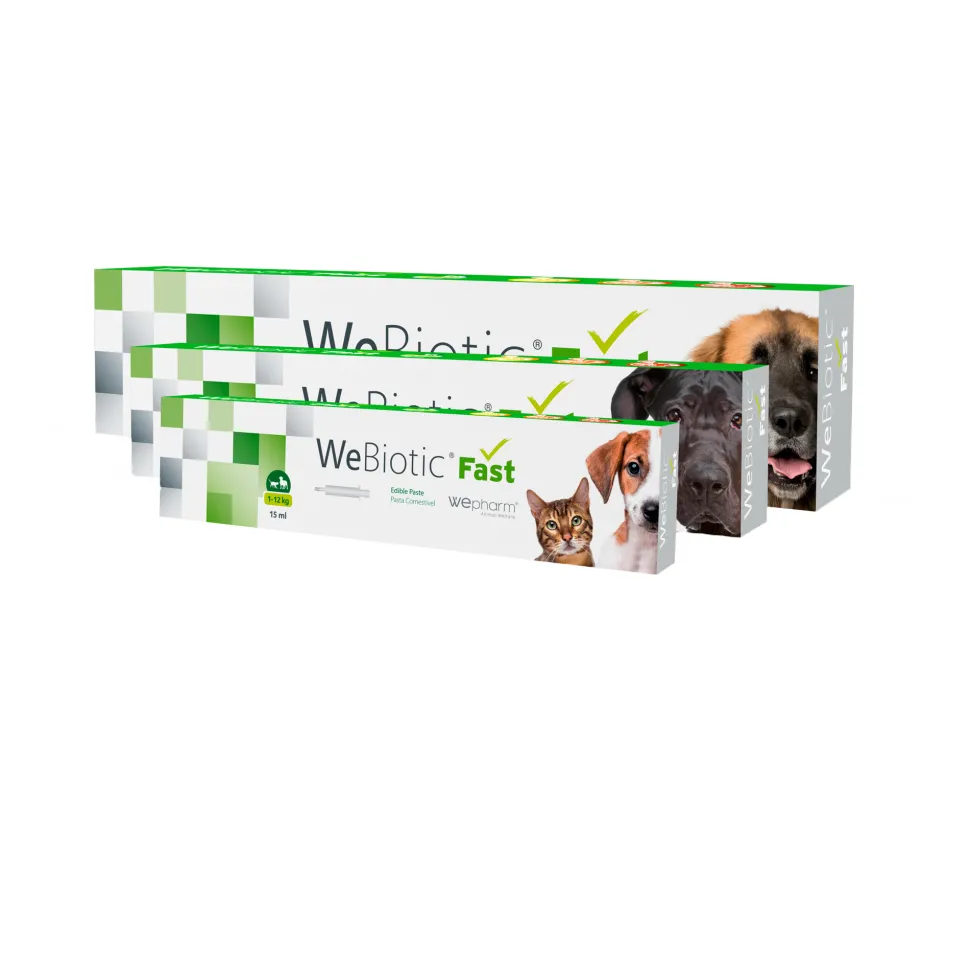 Wepharm WeBiotic Fast - Pasta
