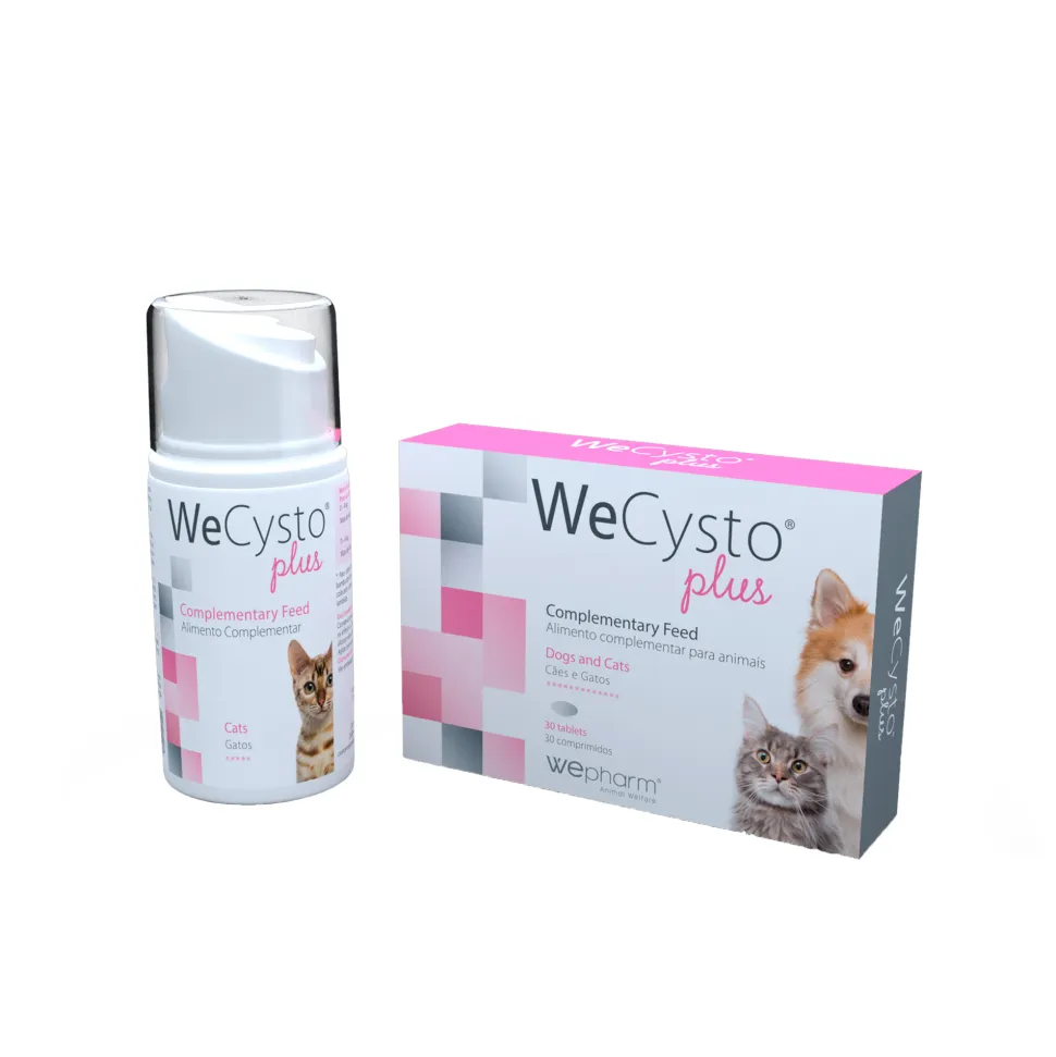 Wepharm WeCysto Plus - Gel