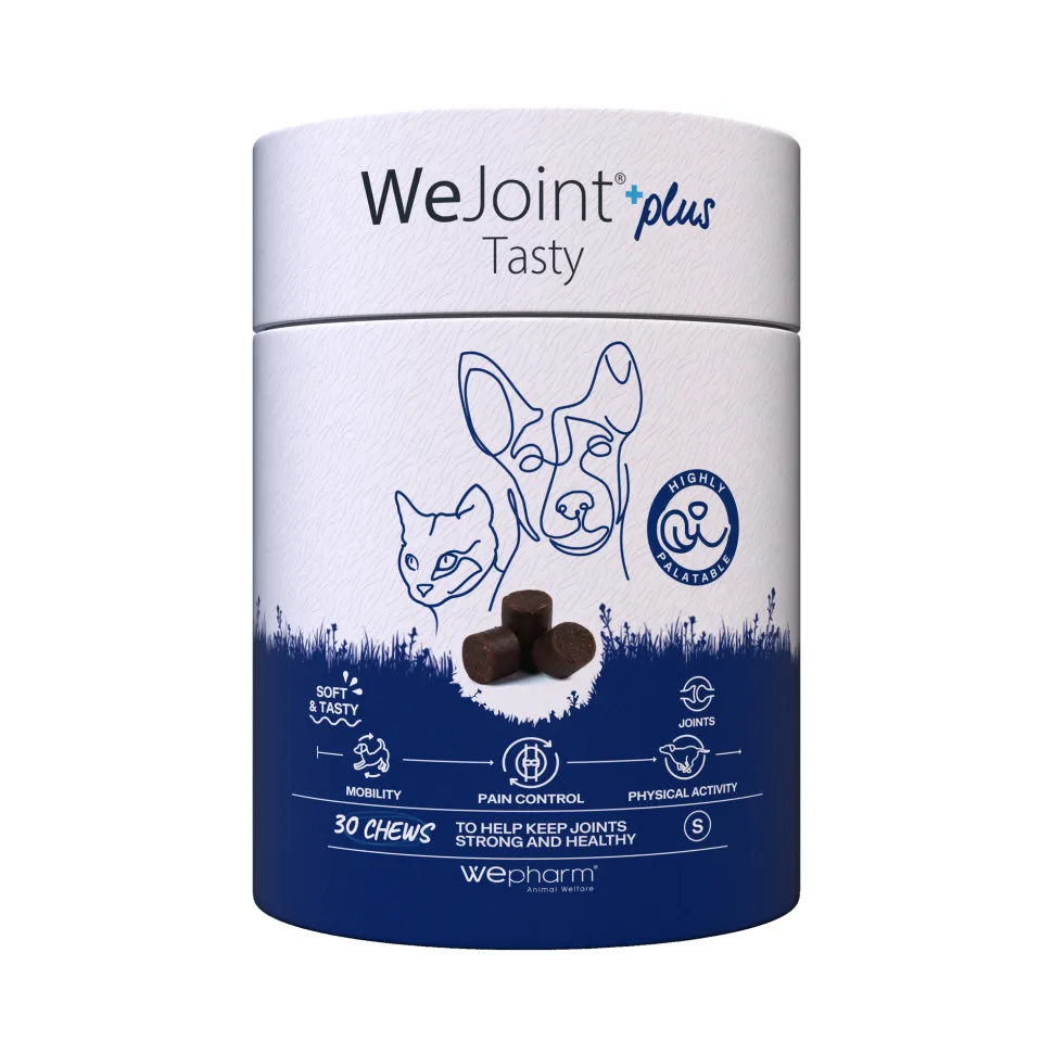 WePharm WeJoint Plus Tasty
