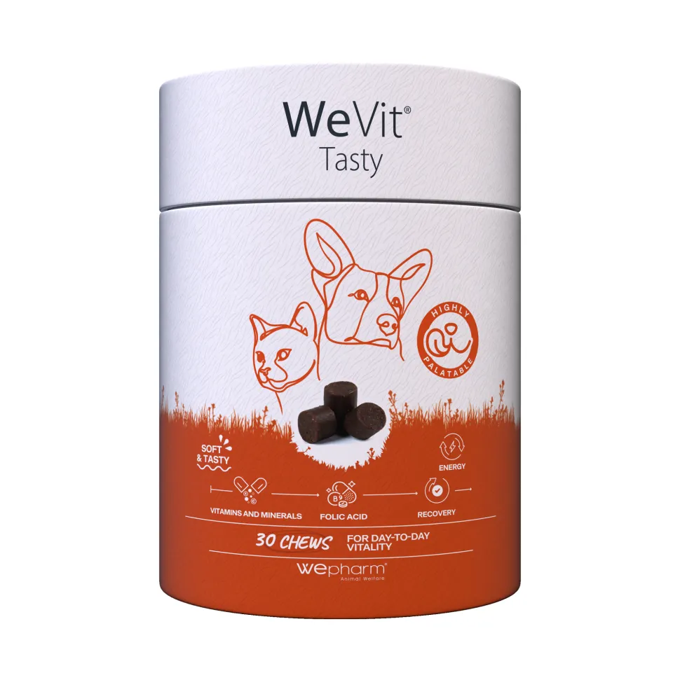WePharm WeVit Tasty Chews