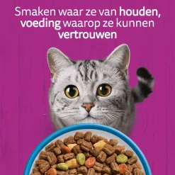 Whiskas Adult Kattenbrokken