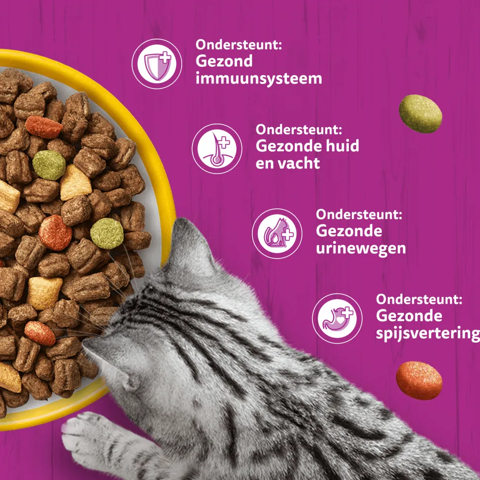 Whiskas Adult Kattenbrokken