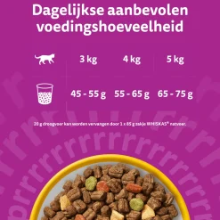 Whiskas Adult Kattenbrokken