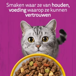 Whiskas Adult Kattenbrokken