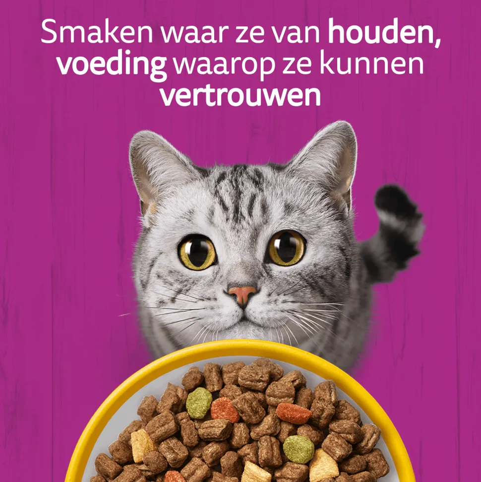 Whiskas Adult Kattenbrokken