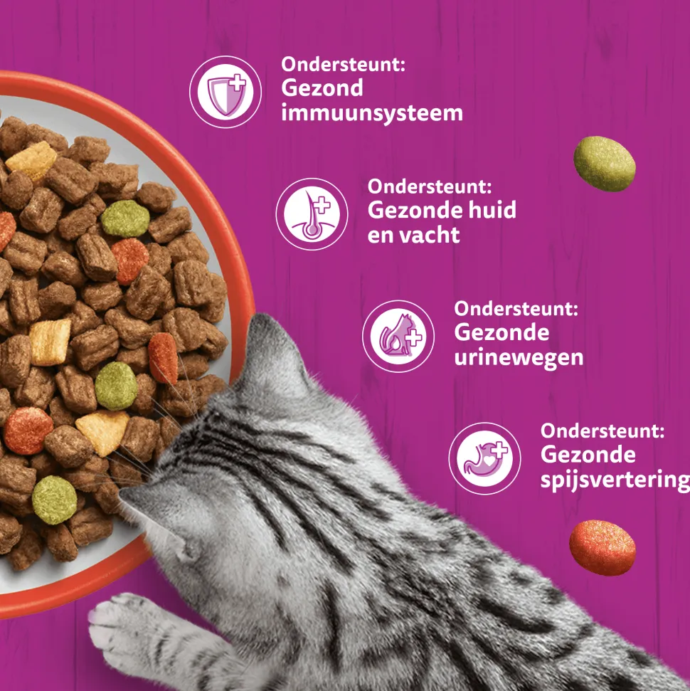 Whiskas Droog Adult Box