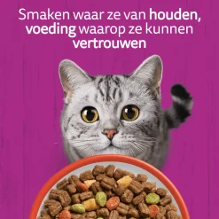 Whiskas Droog Adult Box