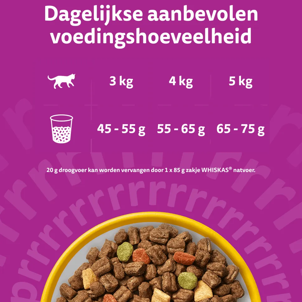 Whiskas Droog Senior Box