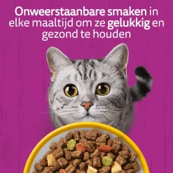 Whiskas Droog Senior Box